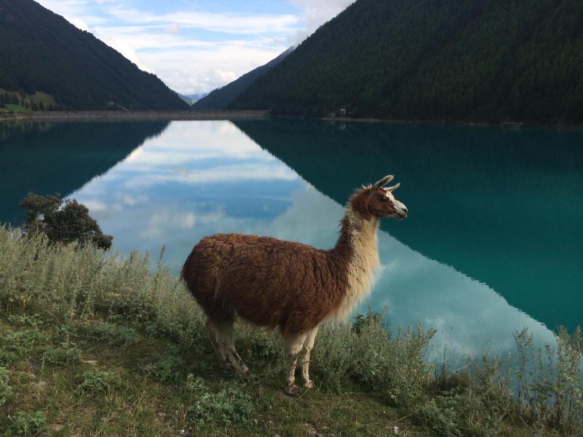 Aparthotel Maso Corto Dış mekan fotoğraf